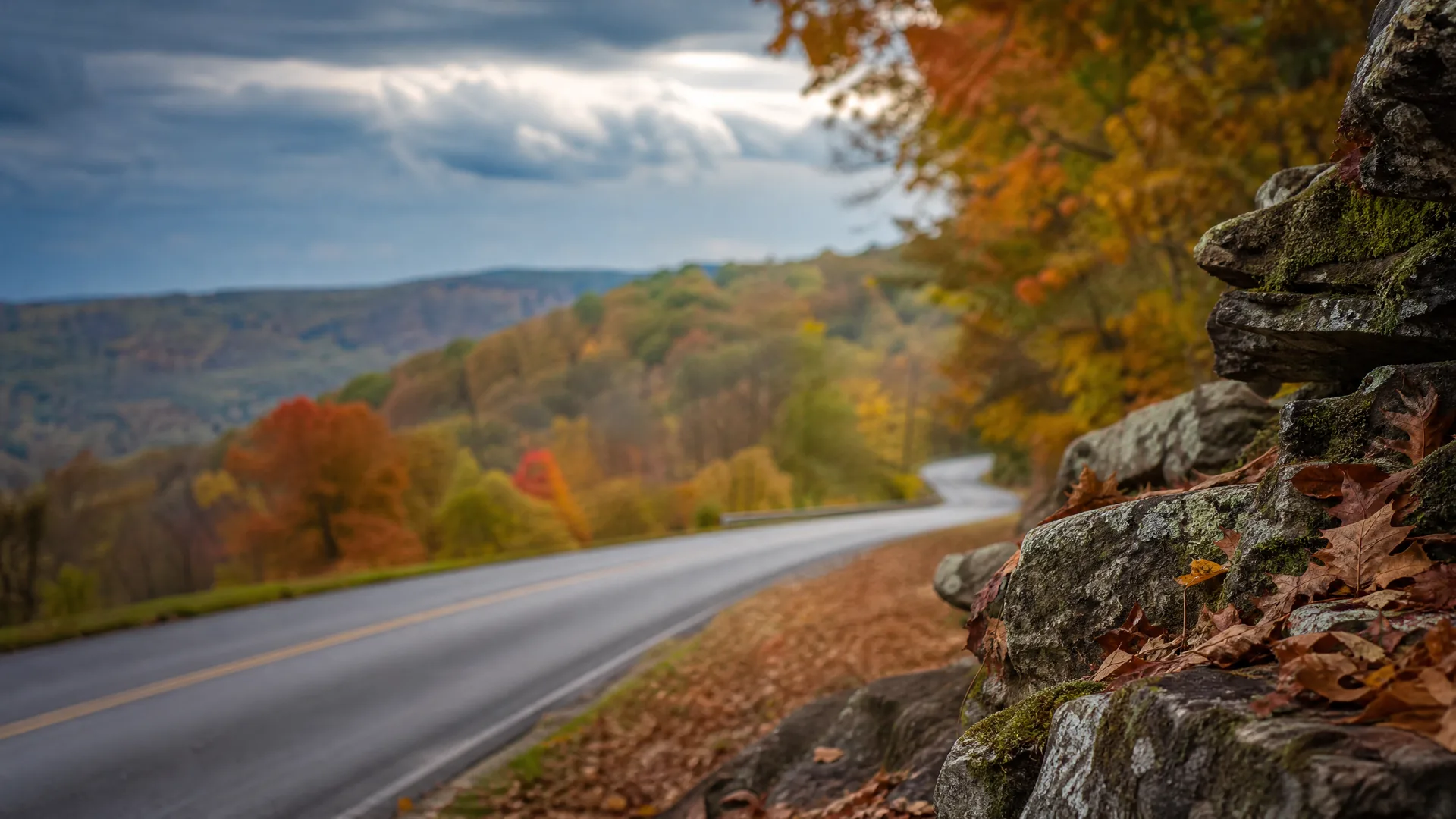 A curving two-lane road with a yellow center line runs through hills of autumn-colored trees, with a moss-covered rock outcrop and fallen leaves in the foreground under a cloudy sky.