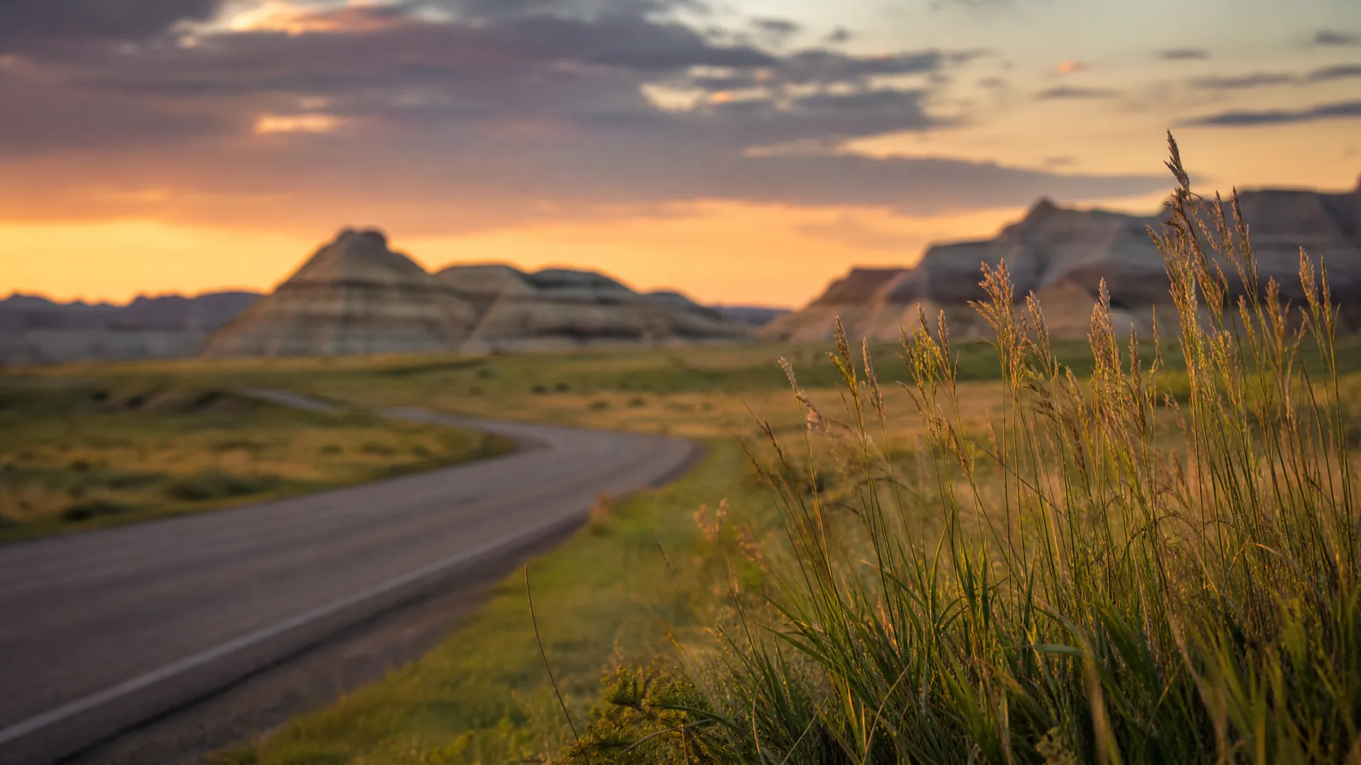 A paved two-lane road curves through grassland toward eroded layered rock formations under an orange and purple sunset sky, with tall seed-headed grasses in sharp focus in the right foreground.