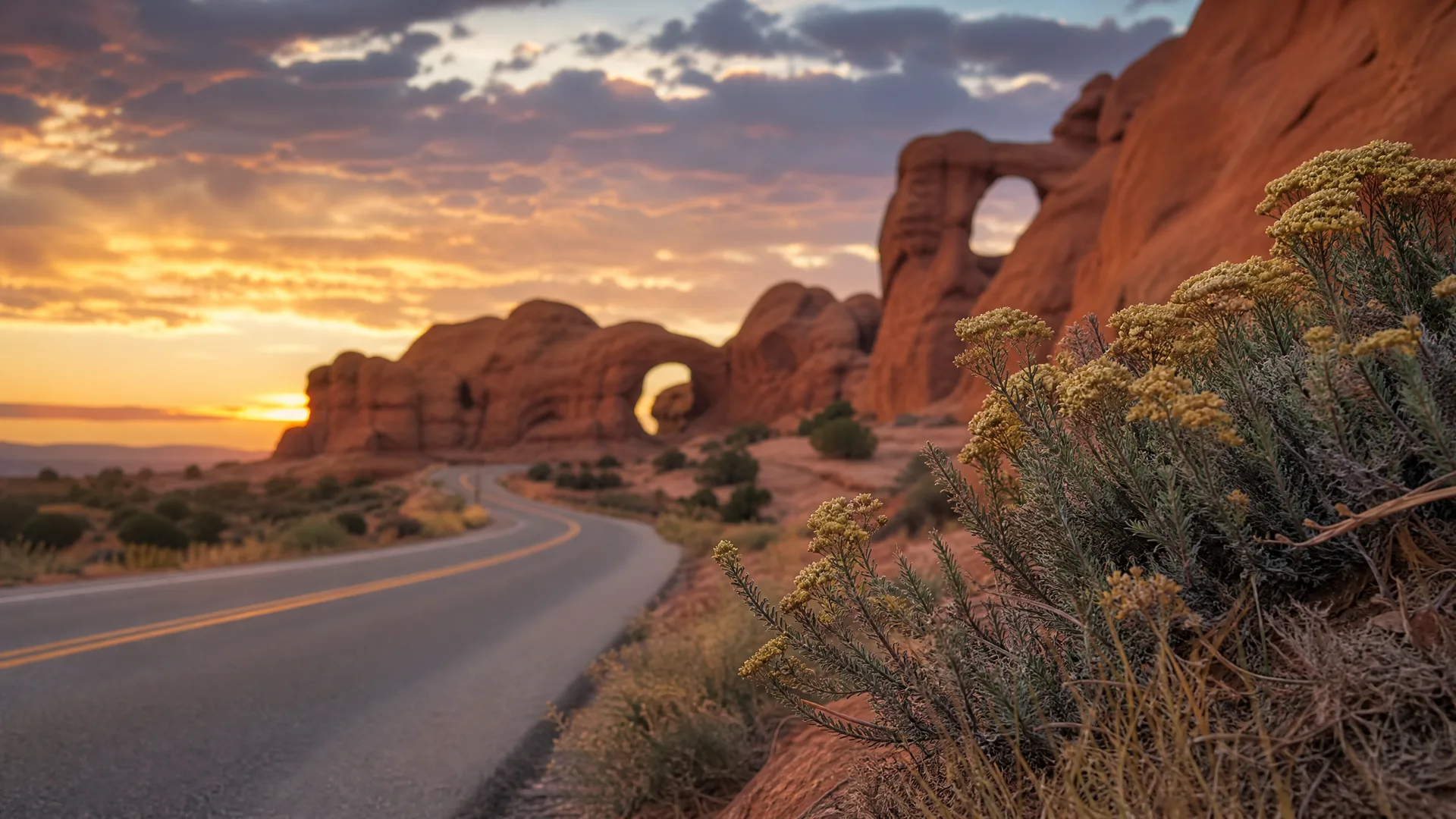 A two-lane road with yellow center lines curves through a desert landscape at sunset, with red sandstone formations including arches in the background and flowering shrubs in the foreground.